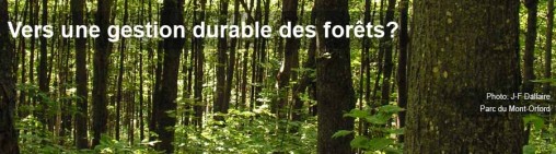 Vers une gestion durable des forêts - Entete 9